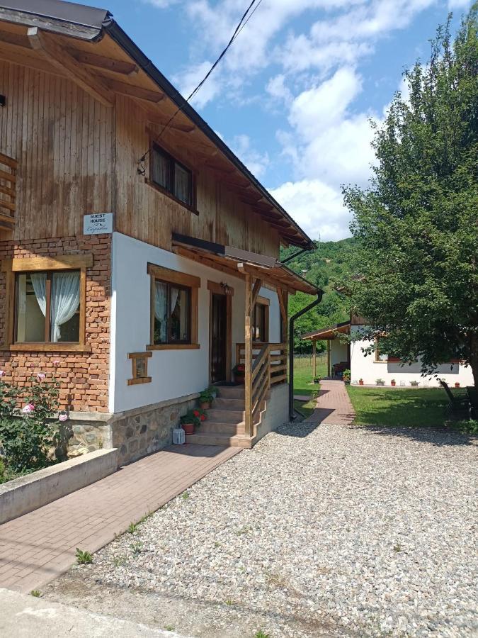 Guest House Carpathia Vişeu de Sus Exterior foto